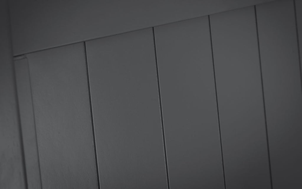 Anthracite Pine Bunk Bed with Panelled Design for 2